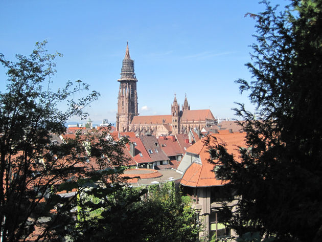 Blick auf die Dächer von Freiburg