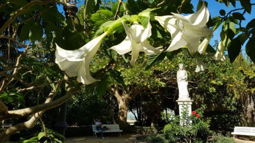 Blume und Statue im Parque Genovés