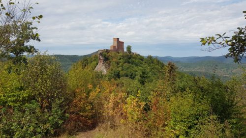 Blick zur Burg Trifels hinüber