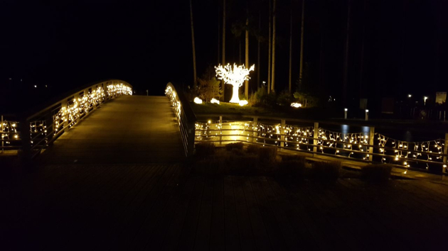 Weihnachtliche Beleuchtung auf dem Außengelände Centerparks Allgäu