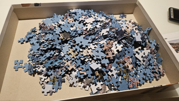 1000 Puzzle-Teilchen in einer Pappschachtel
