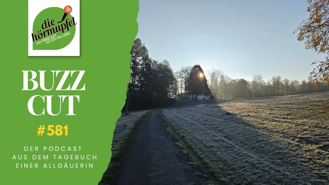 Mehr über den Artikel erfahren 581  Buzzcut