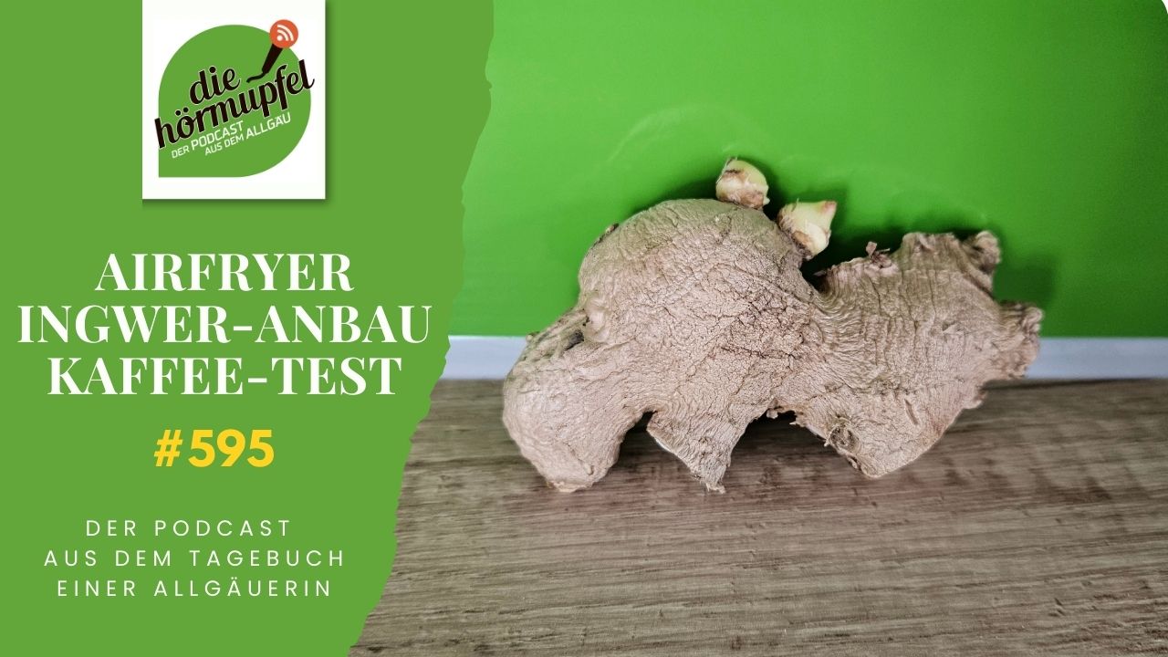 Mehr über den Artikel erfahren 595 Airfryer kaufen oder warten? Discounter-App, Payback-Punkte & mein Ingwer-Experiment