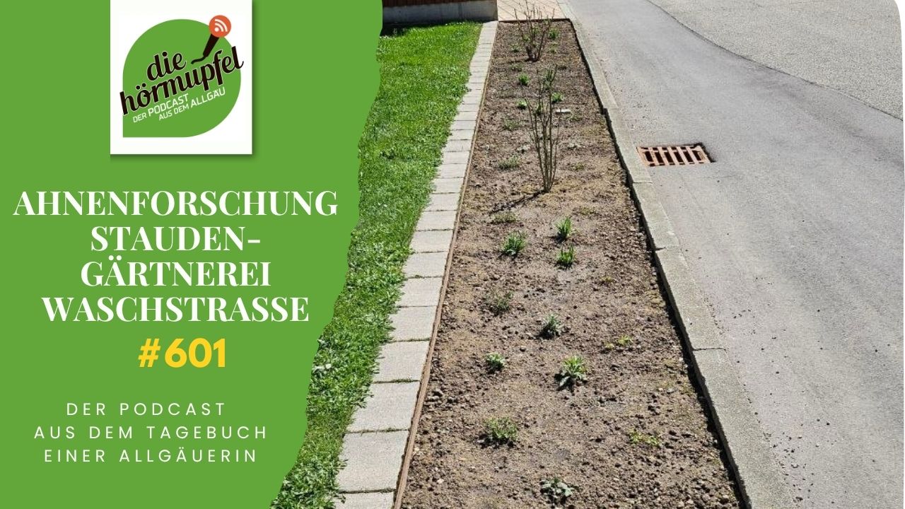 Mehr über den Artikel erfahren 601 Bienenfreundliches Beet, Waschanlage und Ahnenforschung