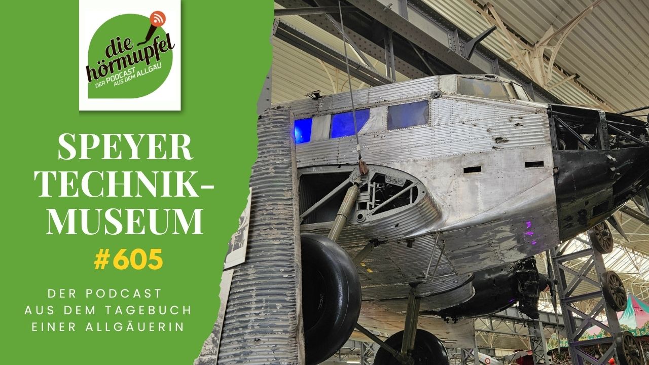 Mehr über den Artikel erfahren 605 Wohnmobil-Abenteuer in Speyer: Riesige Flugzeuge, Wein & Stellplatz-Chaos